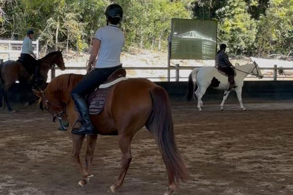 Maleny Equestrian Groups