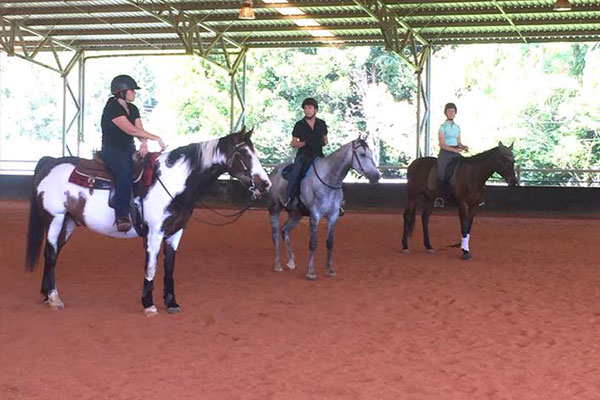 Maleny Equestrian Groups